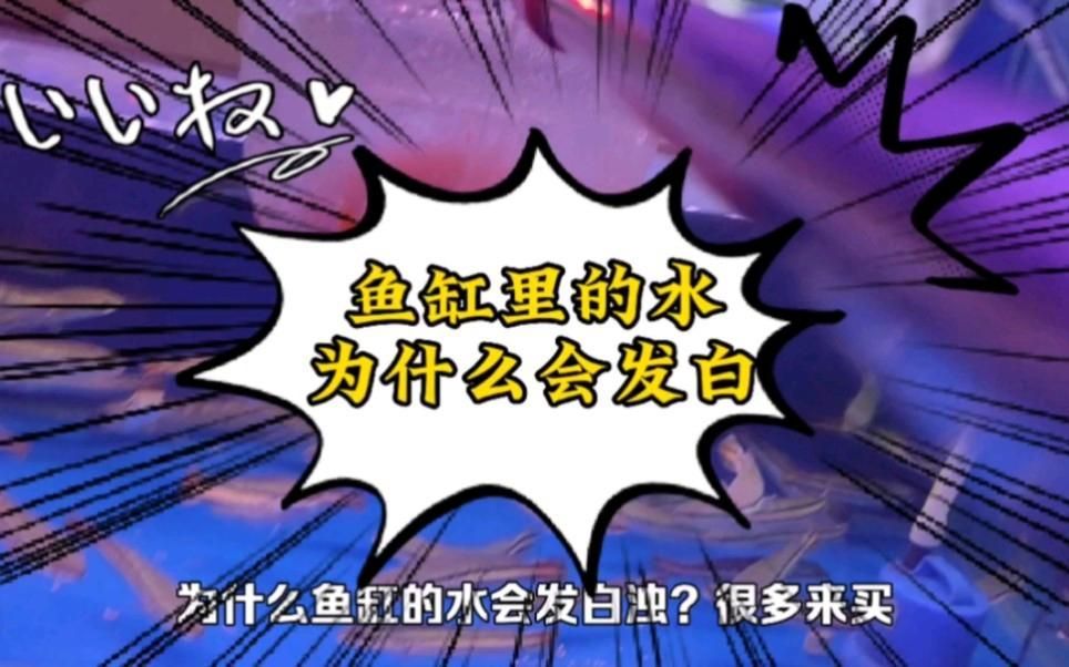 魚缸水發白霧蒙蒙對魚有哪些影響，魚缸水發白霧蒙蒙如何快速處理