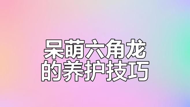 六角龍魚需要哪些設(shè)備，六角恐龍?jiān)趺答B(yǎng)需要準(zhǔn)備哪些東西