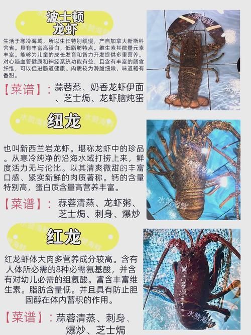 有沒有更多種類的龍蝦圖片，淡水龍蝦和海水龍蝦的烹飪方式多樣，龍蝦的烹飪方式多樣