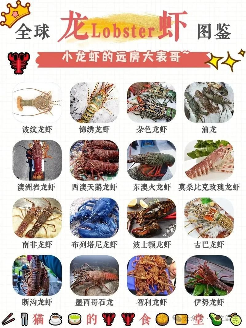 有沒有更多種類的龍蝦圖片，淡水龍蝦和海水龍蝦的烹飪方式多樣，龍蝦的烹飪方式多樣