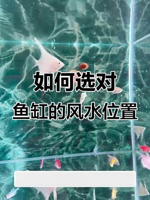魚缸位置風水示意圖，魚缸位置風水擺放有哪些禁忌魚缸位置風水示意圖