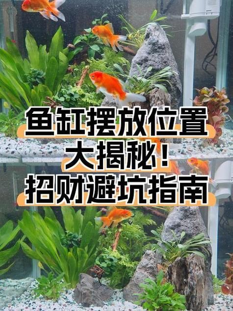 魚缸位置風水示意圖，魚缸位置風水擺放有哪些禁忌魚缸位置風水示意圖