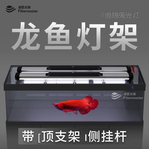 龍魚燈日光燈的價格范圍是多少，哪個品牌的龍魚燈日光燈評價最好？