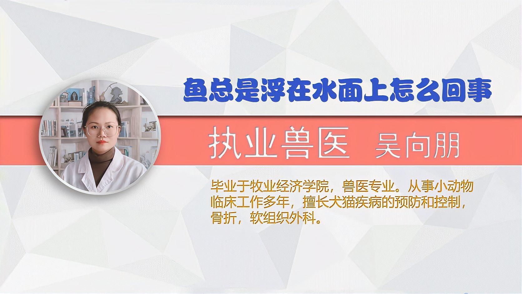 魚總是浮在水面上怎么回事，魚總是浮在水面上怎么回事，怎樣才能讓魚少生病寵小潤