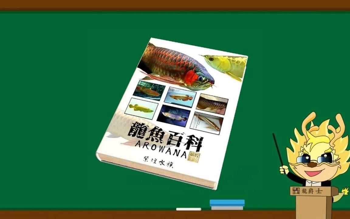 10000K色溫對龍魚的健康有何影響？，10000k色溫對龍魚健康的影響