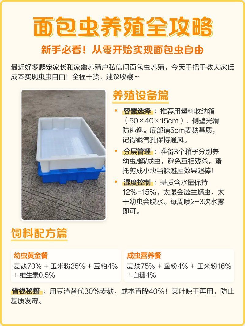 如何養(yǎng)殖和保存面包蟲，養(yǎng)殖和保存面包蟲的基本指南：養(yǎng)殖和保存面包蟲的基本指南