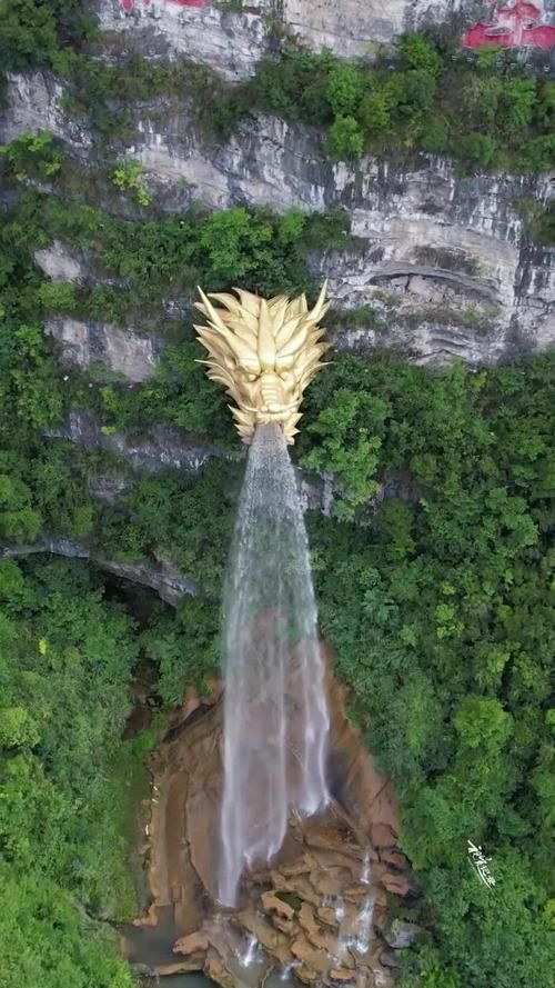 有沒有藝術化的龍水圖片推薦，故宮九龍吐水系列插畫系列插畫資源清單，藝術化龍水圖片