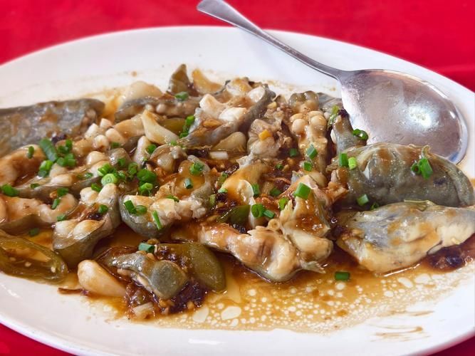 獨山龍魚和鯰魚的烹飪方法有何不同？，獨山龍魚與鯰魚的烹飪方法