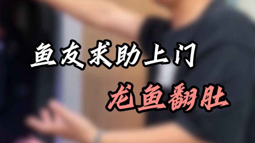 治療龍魚翻肚需要多長(zhǎng)時(shí)間，龍魚翻肚后多久會(huì)恢復(fù)