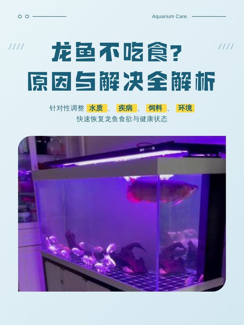 龍魚拒食時應(yīng)該如何判斷是哪種原因？，如何判斷龍魚拒食的真正原因