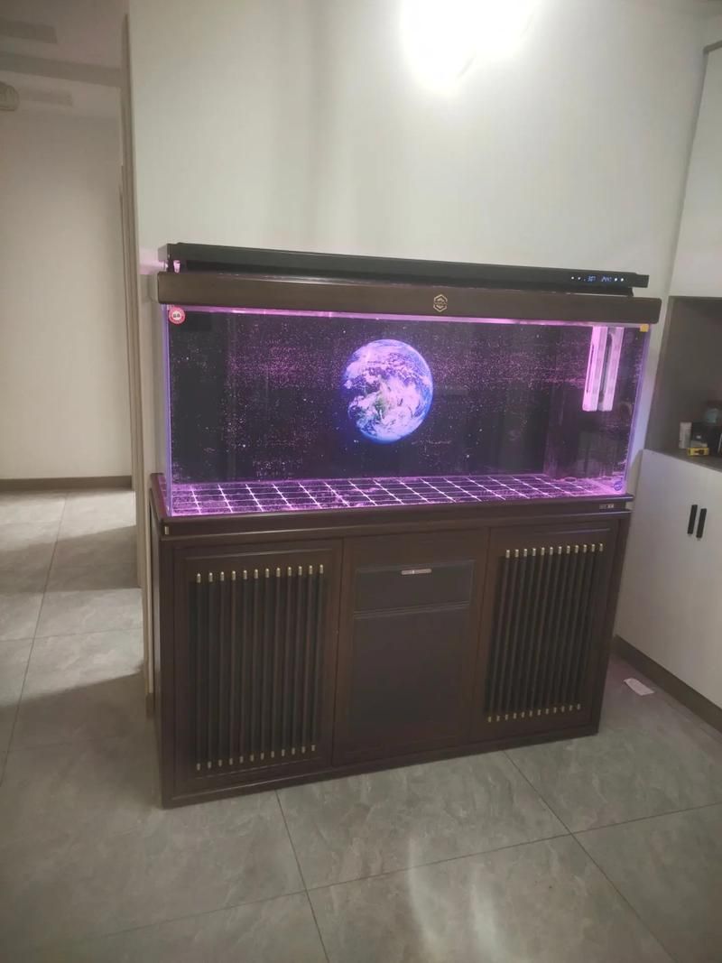 有哪些品牌魚缸適合養龍魚？，如何選擇適合養龍魚的品牌魚缸？