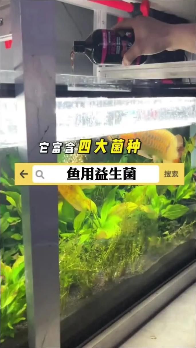 哪個品牌的魚缸益生菌評價最好？，哪個品牌的魚缸益生菌品牌評價最好？