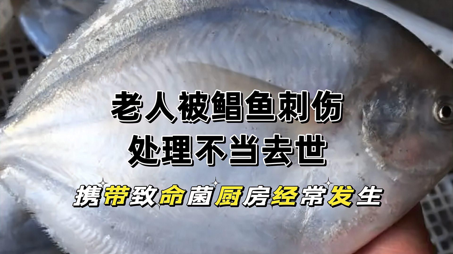 哪種海魚扎傷最容易感染，<strong><mark>深圳</mark></strong>多人被海魚扎傷后感染風險最高
