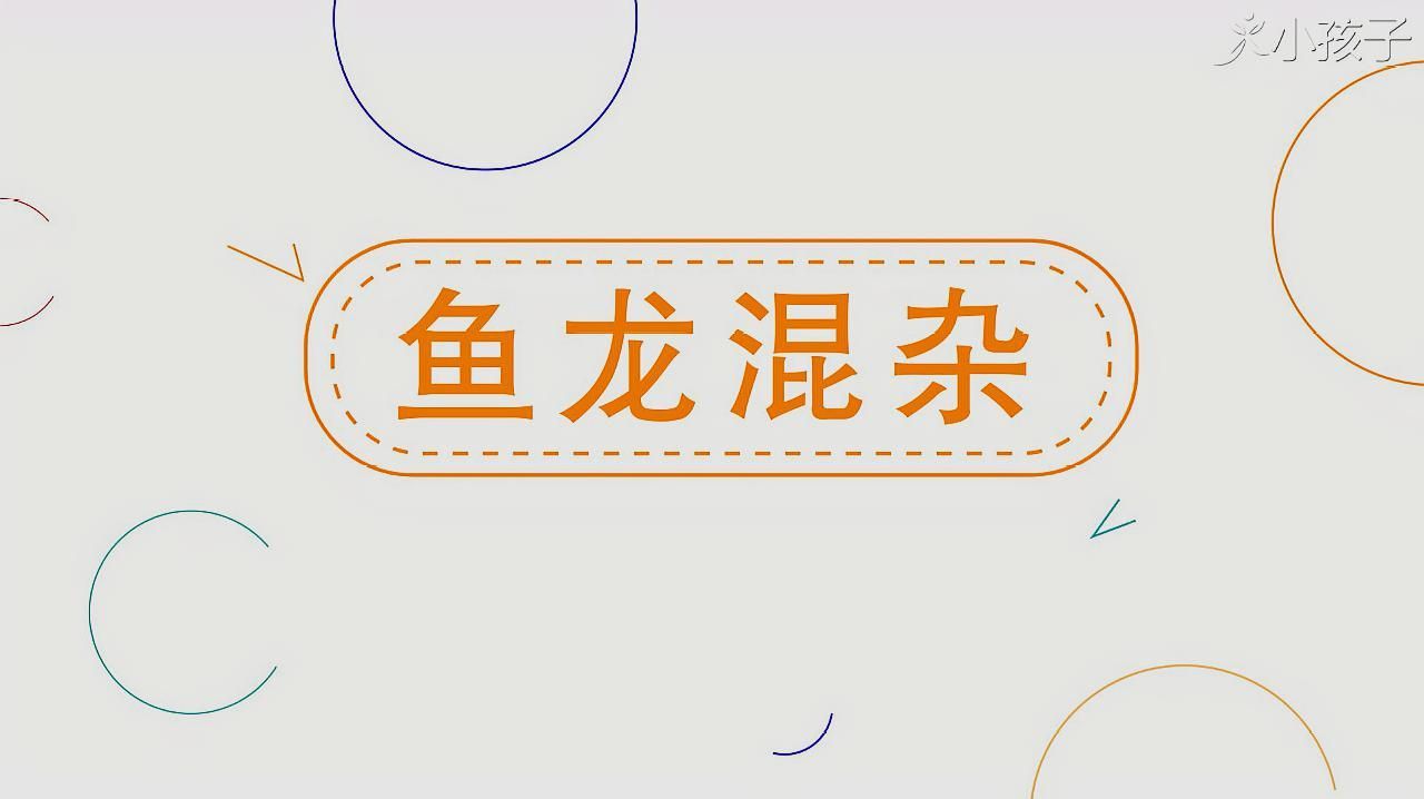 魚和龍在一起有哪些成語