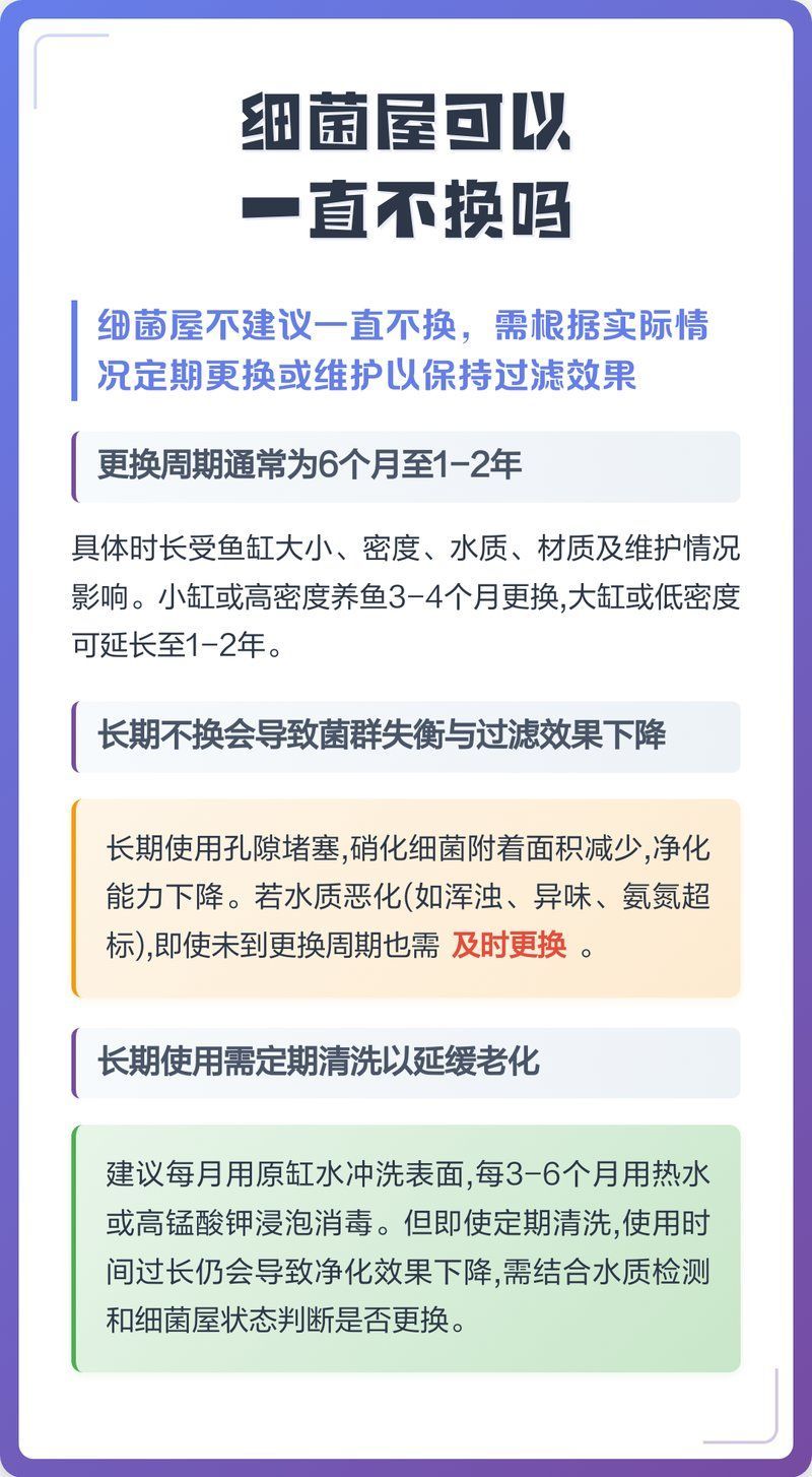 如何判斷細菌屋是否需要清洗，智造拆箱姬，如何判斷細菌屋是否需要清洗 如何判斷細菌屋是否需要清洗，智造拆箱姬，如何判斷細菌屋是否需要清洗 龍魚百科 第2張