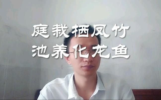 庭栽棲鳳竹，池養化龍魚的讀音是什么？，“庭栽棲鳳竹，池養化龍魚”這句話出自哪里？