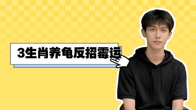 哪些屬相不適合養龜，哪些屬相的人不宜養龜？