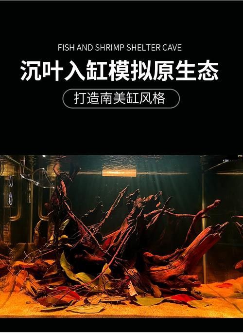 如何調節龍魚缸的pH值？，北京龍魚缸ph值調節ph值調節ph值的重要性和影響范圍