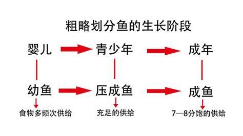 如何判斷龍魚(yú)小苗是否需要喂食？，如何判斷龍魚(yú)小苗是否需要喂食