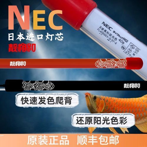 如何辨別nec龍魚燈的真偽？，nec龍魚燈真偽辨別真偽辨別指南（1000字+配圖”