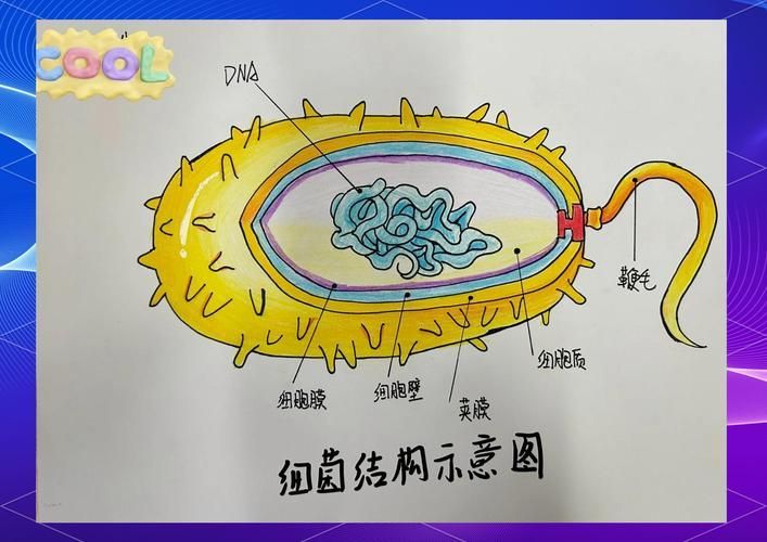 能提供更多細菌和真菌的鑒別要點嗎，arxiv論文助手arxiv論文助手arxiv論文助手