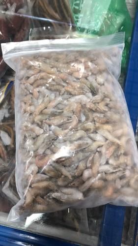 哪些食物有助于預防龍魚爛鰓，arxiv論文助手可輔助查找是否有水產營養學或觀賞魚