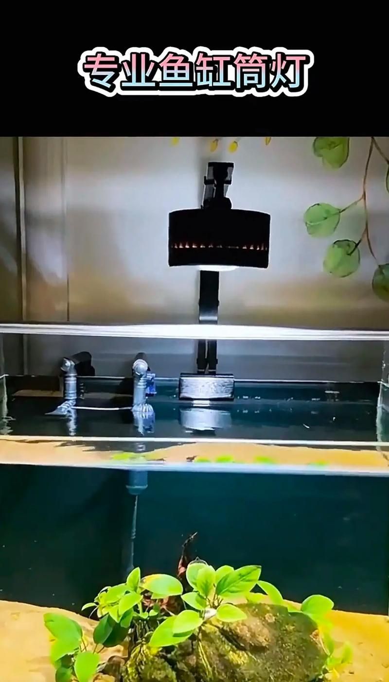 有哪些品牌的魚(yú)缸燈值得推薦？