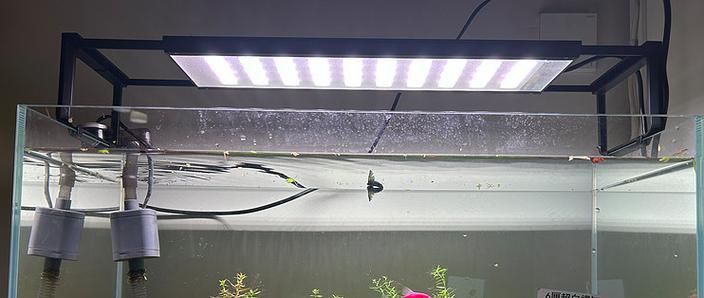 有哪些品牌的魚(yú)缸燈值得推薦？