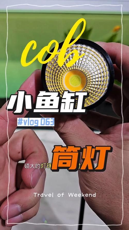 有哪些品牌的魚(yú)缸燈值得推薦？