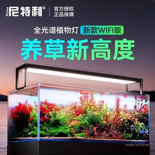 有哪些品牌的魚(yú)缸燈值得推薦？