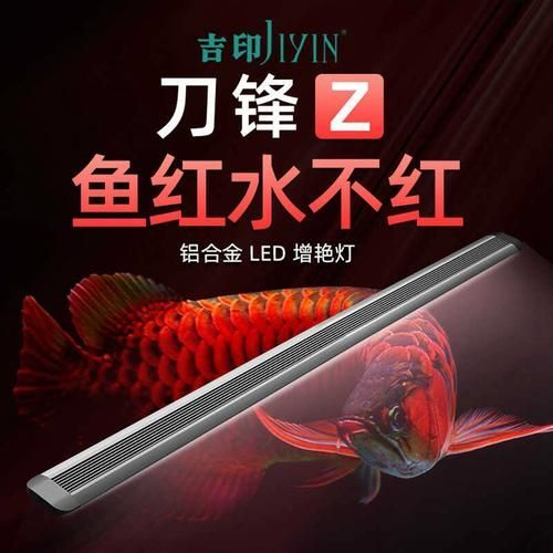 有哪些品牌的魚(yú)缸燈值得推薦？