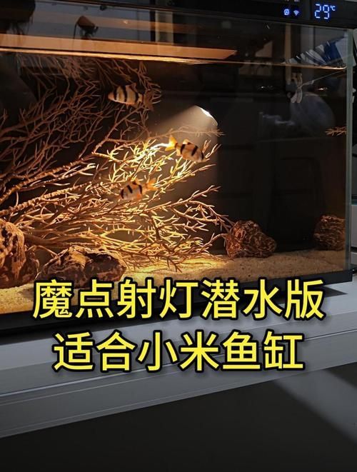 有哪些品牌的魚(yú)缸燈值得推薦？