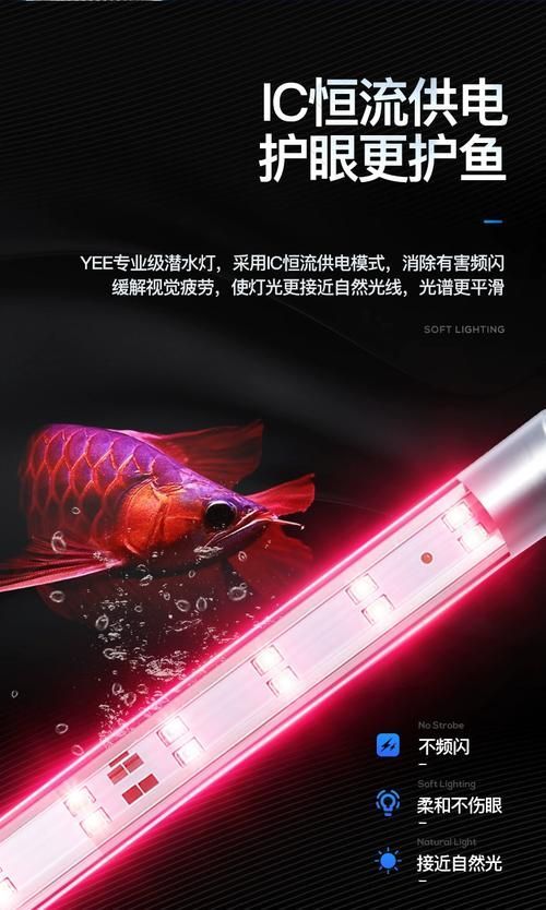 有哪些品牌的魚(yú)缸燈值得推薦？