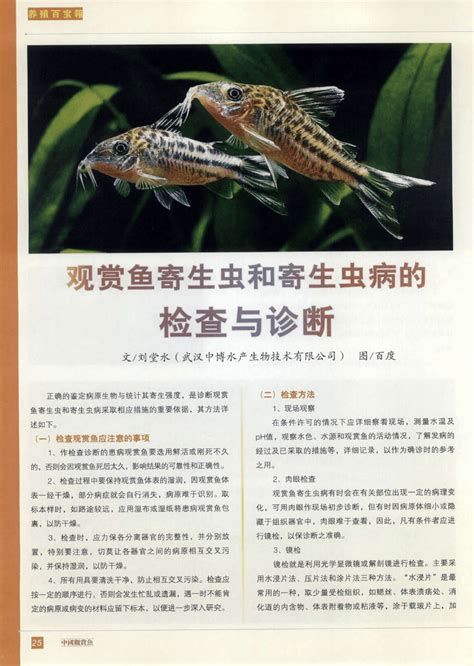 甲硝唑治療魚內寄生蟲用量，甲硝唑是治療魚內寄生蟲的首選藥嗎？