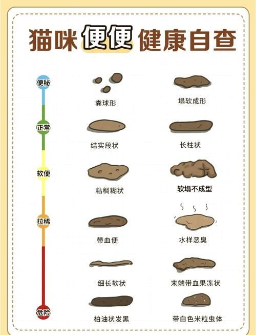 龍貓的消化系統異常有哪些癥狀，龍貓（倉鼠（倉鼠的一種）消化系統異常的權威醫學癥狀
