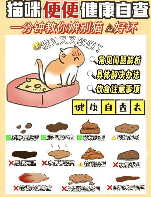 龍貓的消化系統異常有哪些癥狀，龍貓（倉鼠（倉鼠的一種）消化系統異常的權威醫學癥狀
