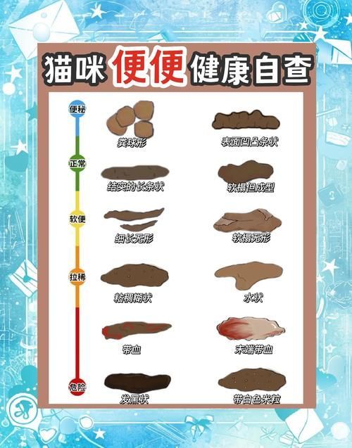 龍貓的消化系統異常有哪些癥狀，龍貓（倉鼠（倉鼠的一種）消化系統異常的權威醫學癥狀