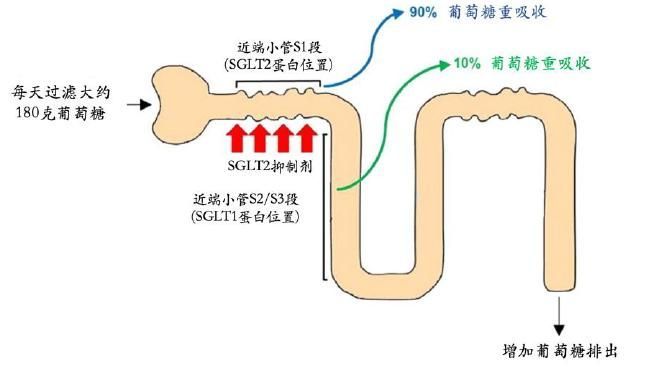 哪些藥物組合使用效果更好，藥物組合使用藥物組合使用的效果取決于多種因素、個體差異