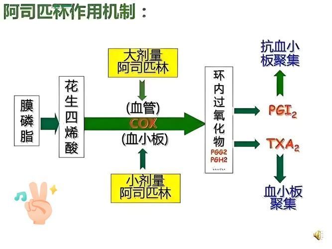 哪些藥物組合使用效果更好，藥物組合使用藥物組合使用的效果取決于多種因素、個體差異