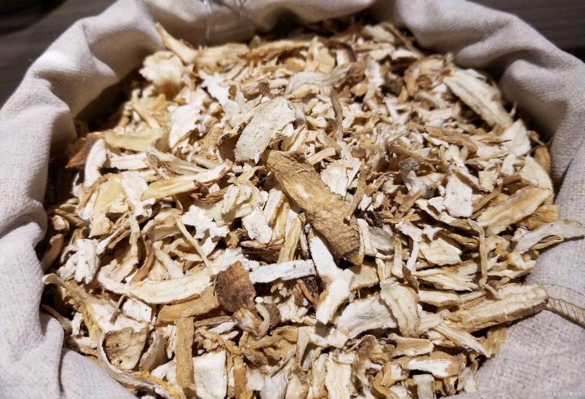 有哪些中草藥可以輔助預防銀龍魚潰爛，如何判斷銀龍魚是否患有潰爛病