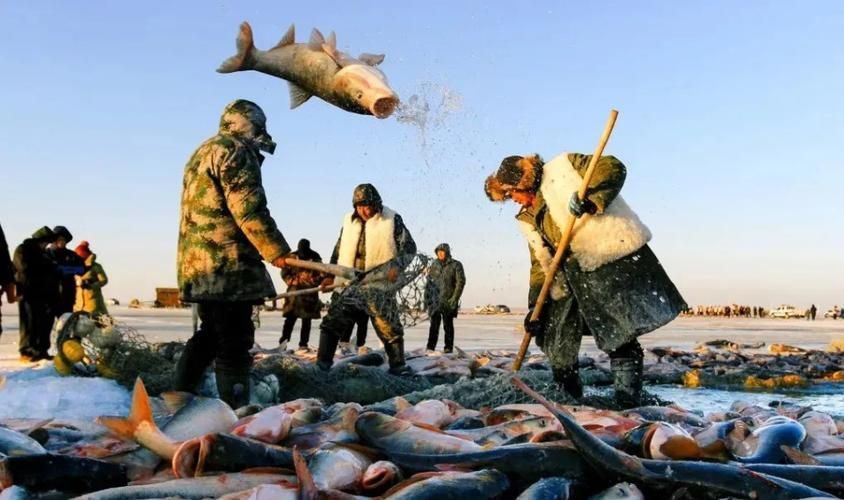 中國魚寶拍賣的歷史案例，“中國魚寶拍賣”是否存在及真實身份是否存在及真實身份