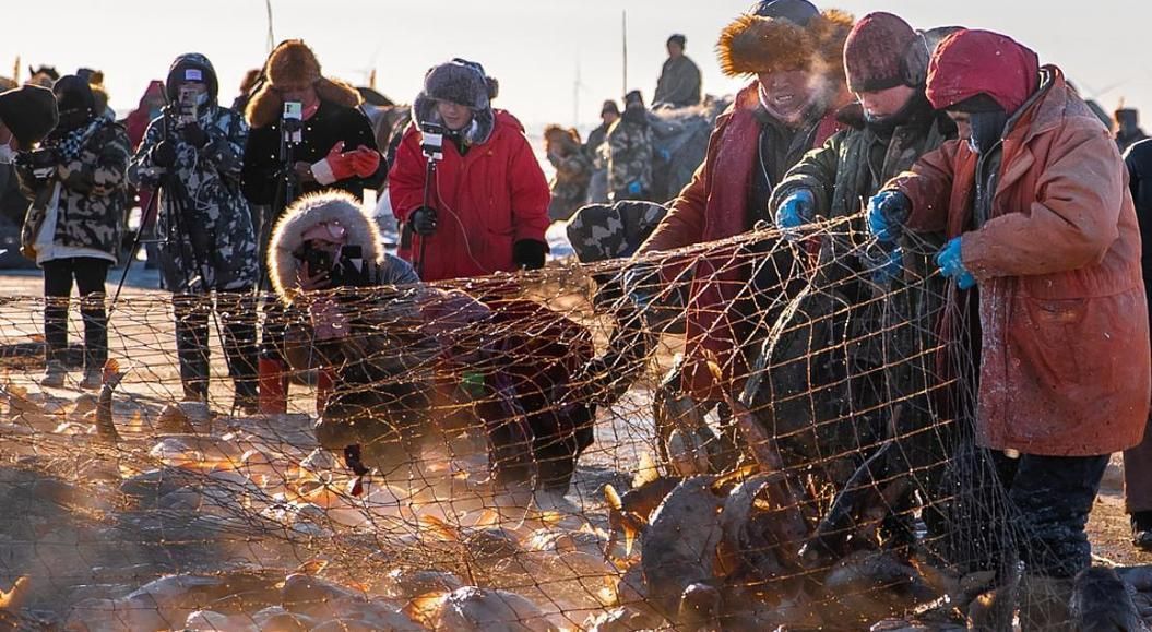 中國魚寶拍賣的歷史案例，“中國魚寶拍賣”是否存在及真實身份是否存在及真實身份