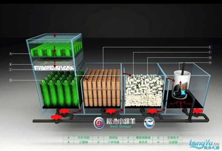 如何穩(wěn)定過背金龍的水溫，過背金龍水溫穩(wěn)定技術