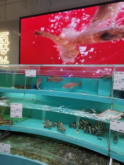 祥龍魚場在2025CIPS上有何表現(xiàn)？，2025年中國國際進口博覽會祥龍魚場cips2025年cips