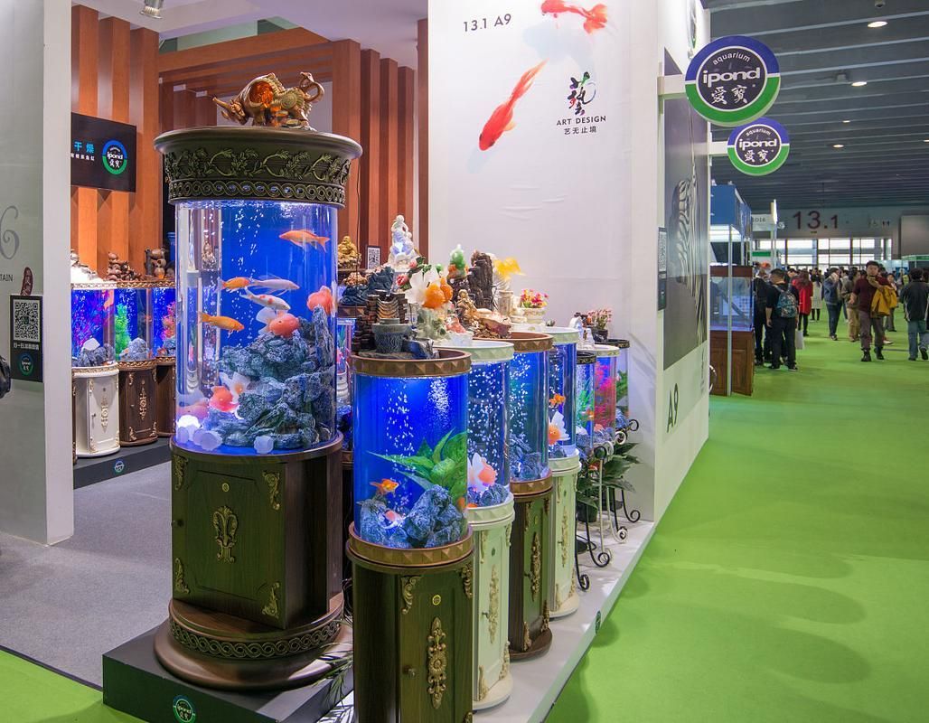 祥龍魚場在2025CIPS上有何表現(xiàn)？，2025年中國國際進口博覽會祥龍魚場cips2025年cips