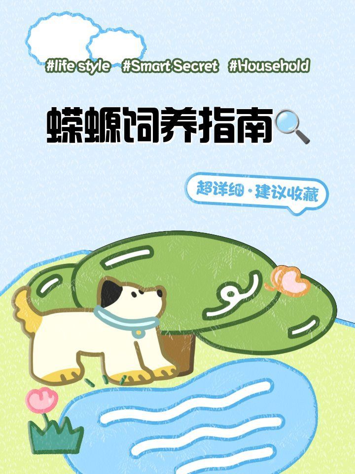 幼年小火龍蠑螈多久喂一次，如何判斷小火龍蠑螈的壽命有多長(zhǎng) 幼年小火龍蠑螈多久喂一次，如何判斷小火龍蠑螈的壽命有多長(zhǎng) 龍魚百科 第1張