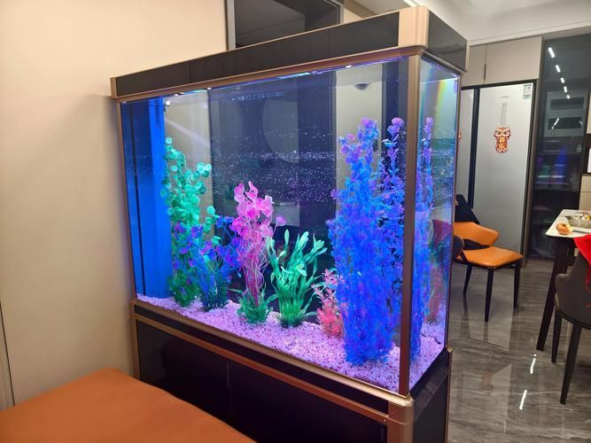 森森魚缸哪個系列最好？，森森魚缸哪個系列適合新手森森魚缸主流型號對比