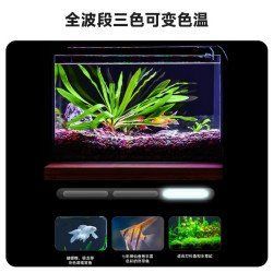 如何選擇適合龍魚的YEE意牌燈