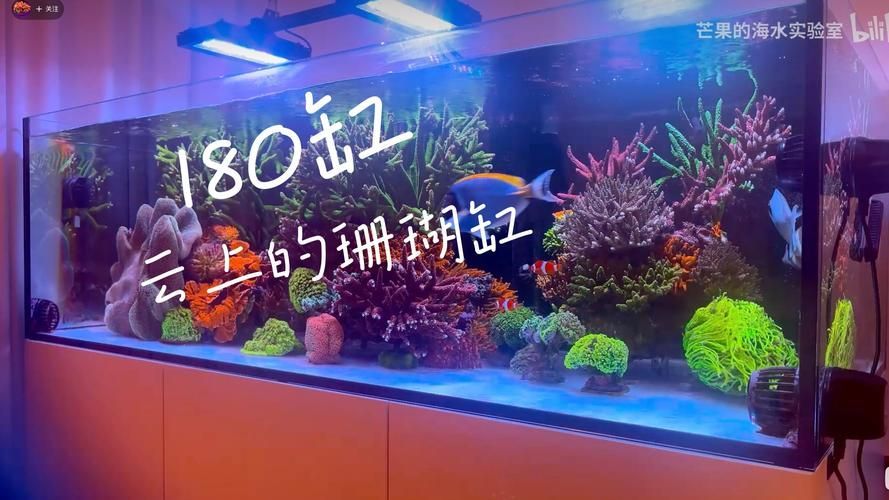 13000K燈在哪些領(lǐng)域有應(yīng)用，13000k燈在各個領(lǐng)域的應(yīng)用