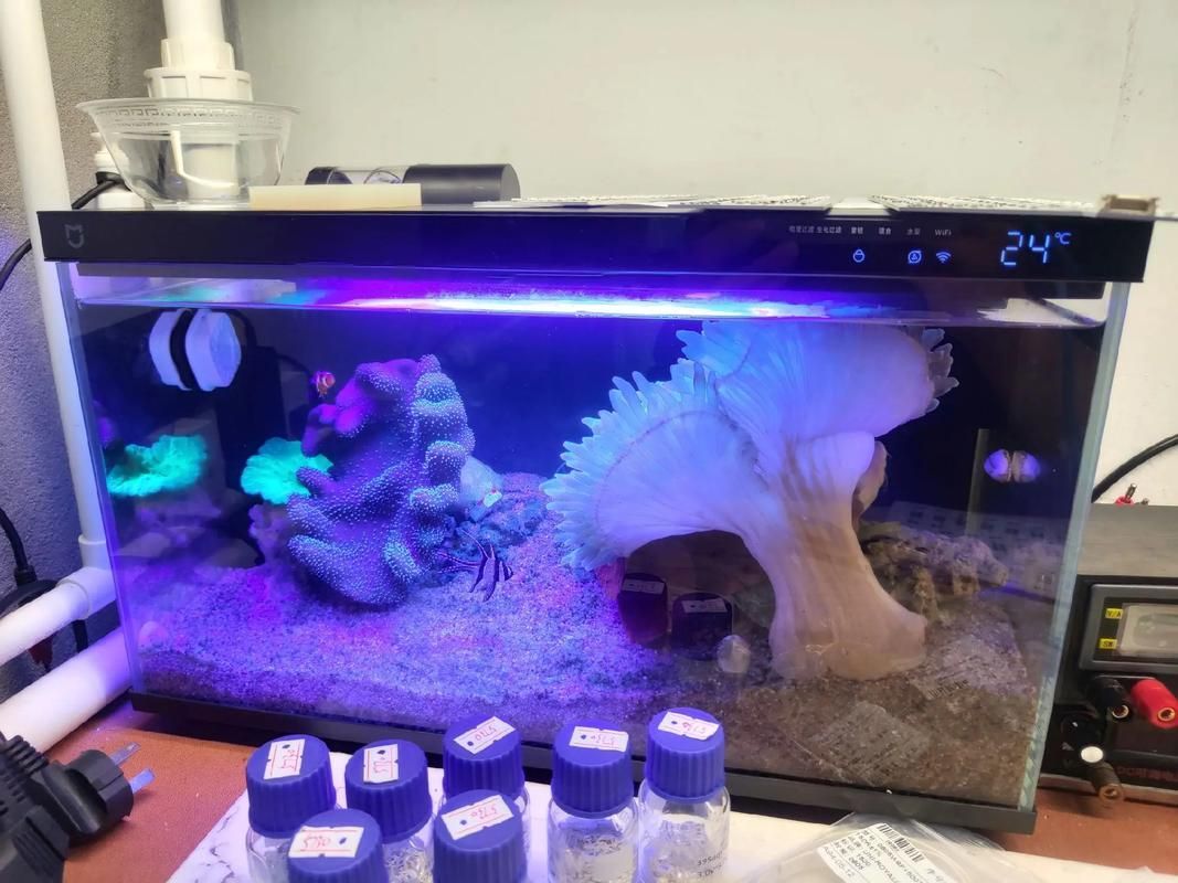 13000K燈在哪些領(lǐng)域有應(yīng)用，13000k燈在各個領(lǐng)域的應(yīng)用